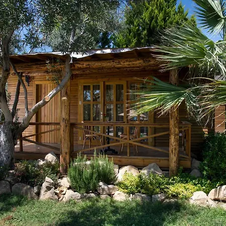 Antique Beach & Bungalow *