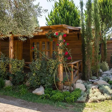 Antique Beach & Bungalow
